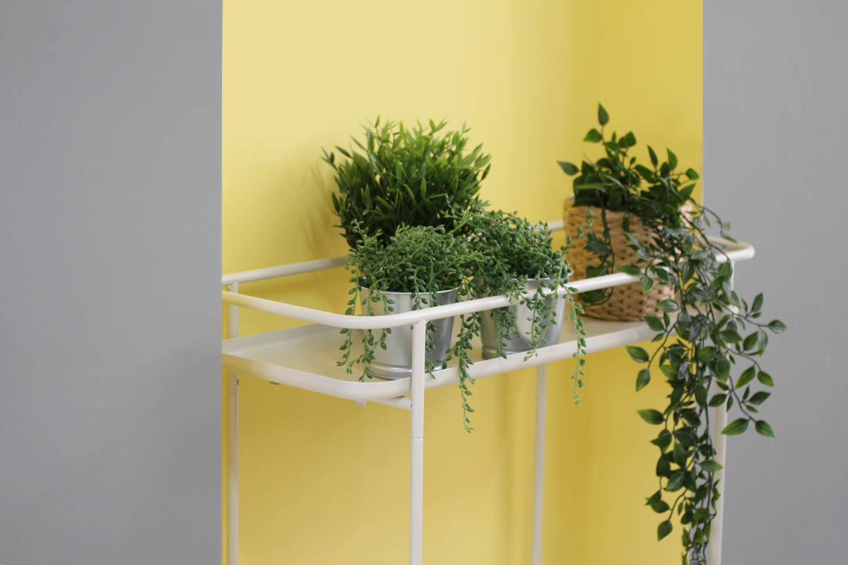 שיפוץ המוסד 6