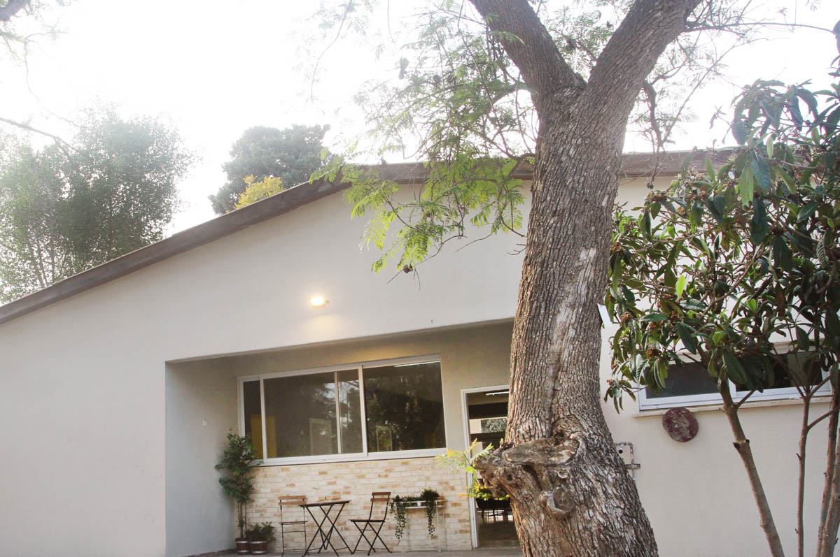 שיפוץ המוסד 13