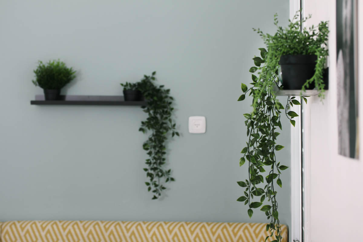 שיפוץ המוסד 3