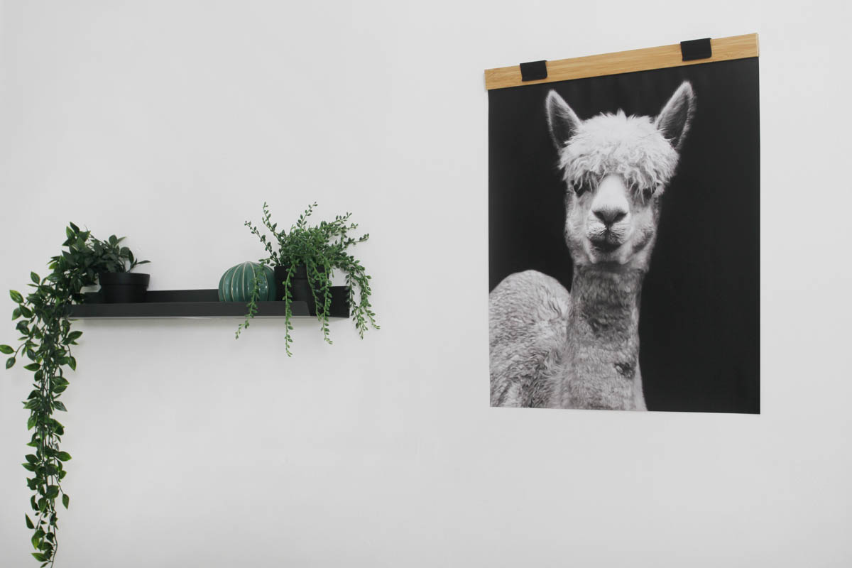 שיפוץ המוסד 1